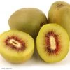 Kiwi - Actinidia Deliciosa Kiwi Wonder -Plantes de jardin Actinidia deliciosa Wonder 84702 1