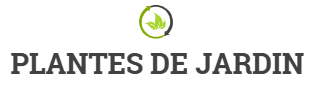 Plantes de jardin